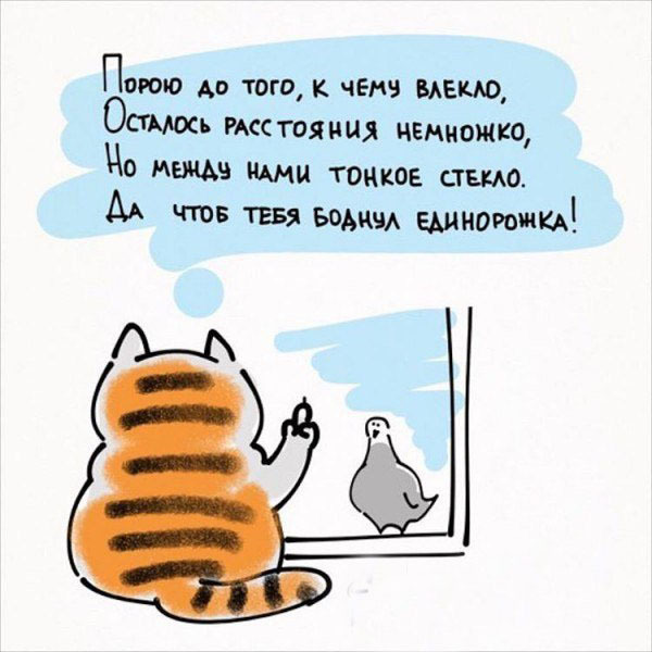 10 полезных советов от котика. Как надо относиться к жизни