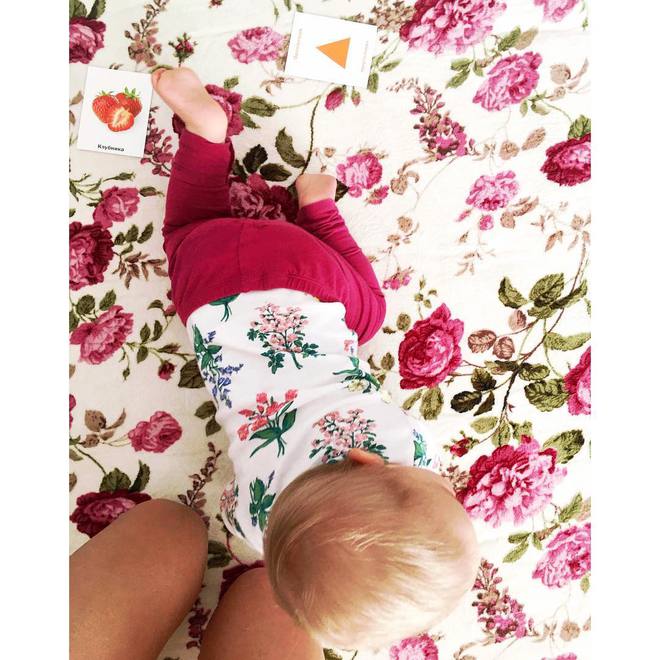 Аніта Луценко