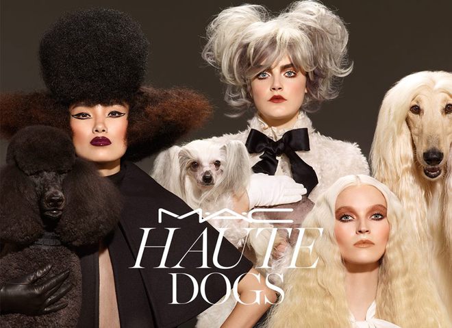 MAC Haute dogs - коллекция косметики2