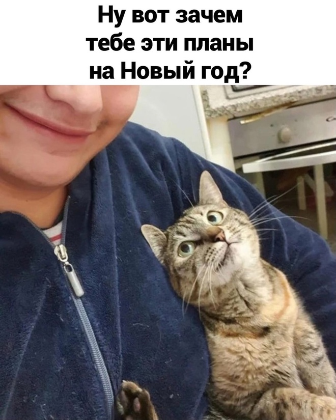 Планы на Новый год