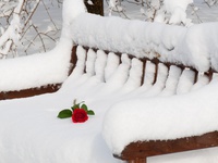 Снежная скамейка