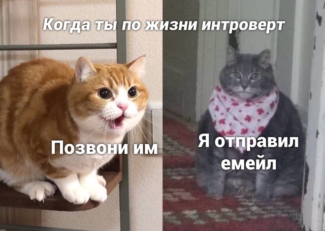 Когда ты по жизни интроверт