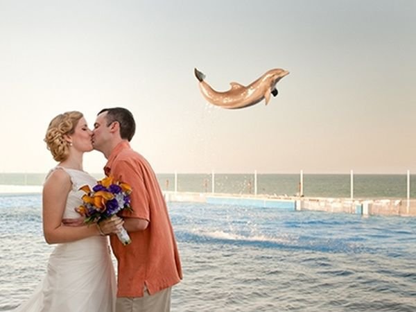 Смешные фотобомбы со свадеб