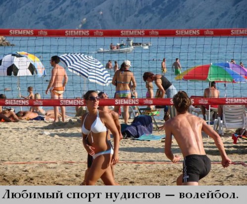 Топ интересных фактов