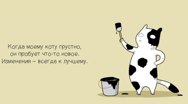 Когда моему коту грустно