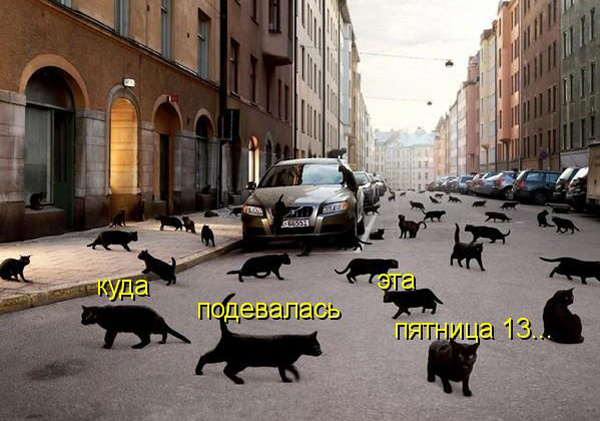 ТОП лучших котоматриц про пятницу 13-е