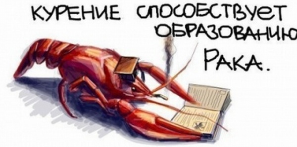 В прямом смысле слова