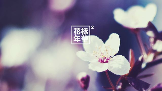 BTS. K-pop