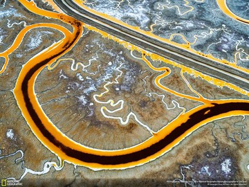 National Geographic опубликовал лучшие снимки дикой природы 2016 года