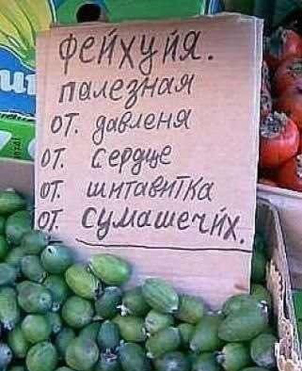 ТОП лучших маразмов