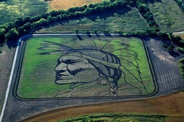 Креативные картины на рисовых полях