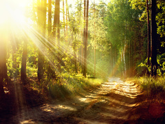 Яке свято відзначають 5 травня