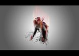 Уайт Рэт Джеймс - Жизнь без людей [Ограничение +18.  Extreme Horror]