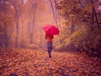 Девушка с зонтом в осеннем лесу