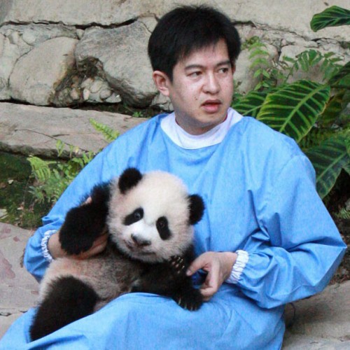 В мире животных