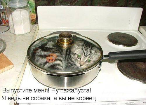 Няшные котоматрицы