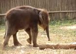 Хотел всего лишь почесаться)