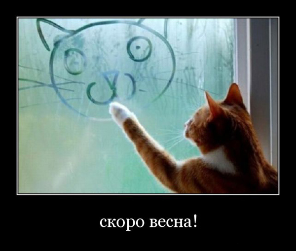 Весенние демотиваторы