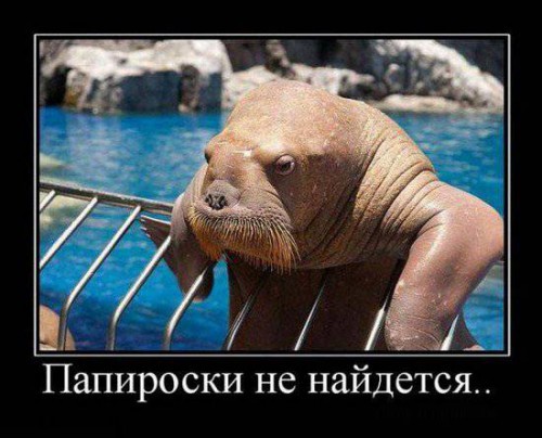 Юморные демотиваторы