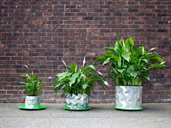 Растущий горшок-оригами