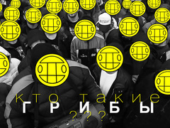 "Поднялась влага в клубе": кто такие "Грибы" и почему они так популярны