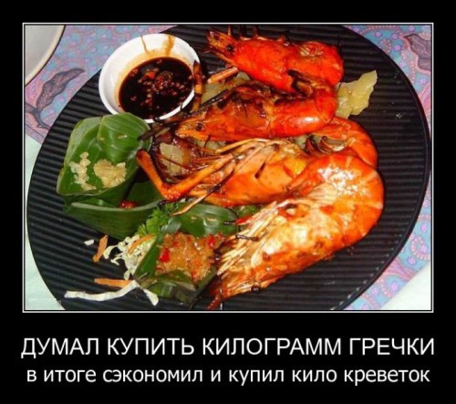 Прикольные демотиваторы