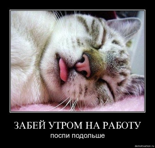 Позволь себе!!))))))))))