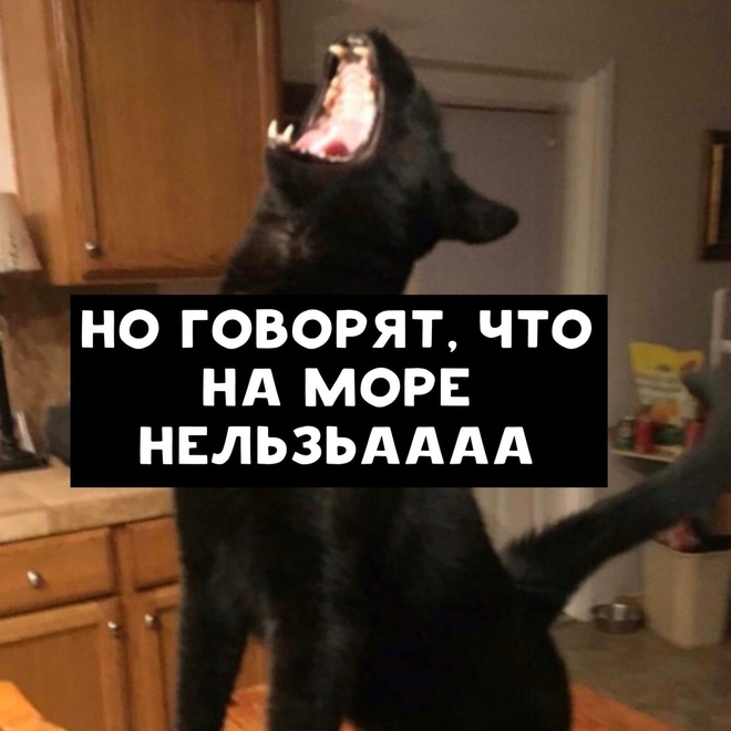 Песенка про лето