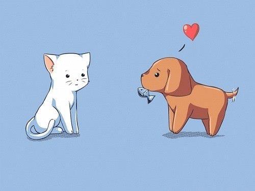 Животная любовь