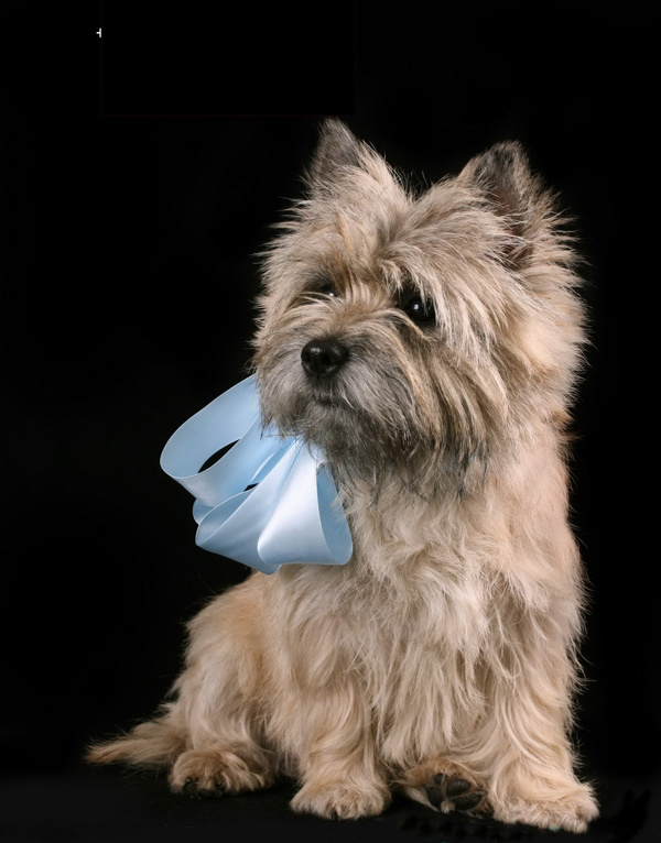 Малыши с бантиками