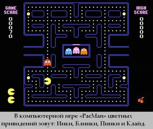 Топ интересных фактов