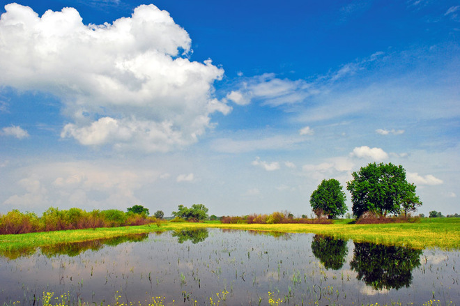 Где отдохнуть летом в Украине: Шацкие озера