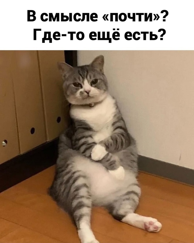 Комикс про мандаринки