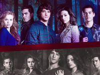 Обои на рабочий стол "Волчонок"