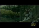 Rise Against - Give It All