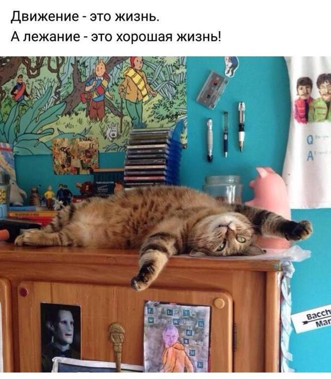 Хорошая жизнь