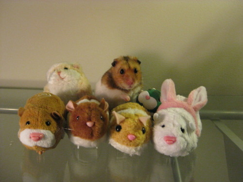 Животные и их игрушечные копии -2