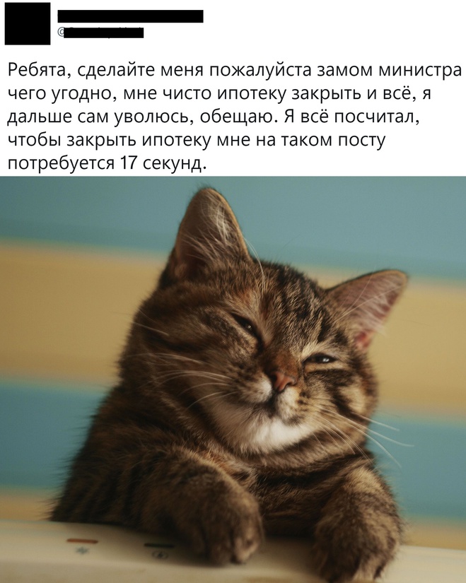 Министр на пару секунд