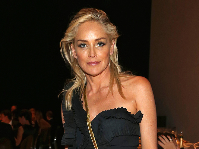 Владимир Зеленский, Шерон Стоун