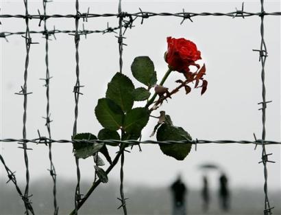 Международный день освобождения узников фашистских концлагерей
