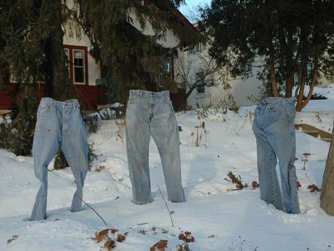 Новая мода из Америки - замороженные штаны