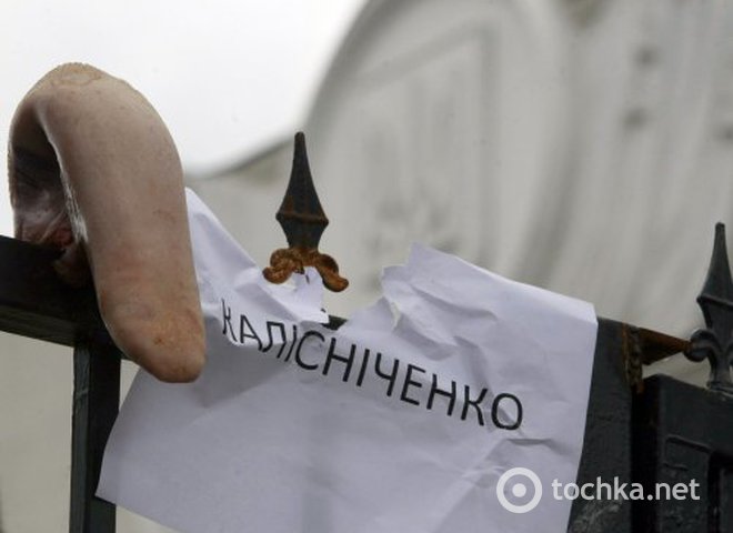 Акция протеста против закона о языках, разработанного регионалом Колесниченко