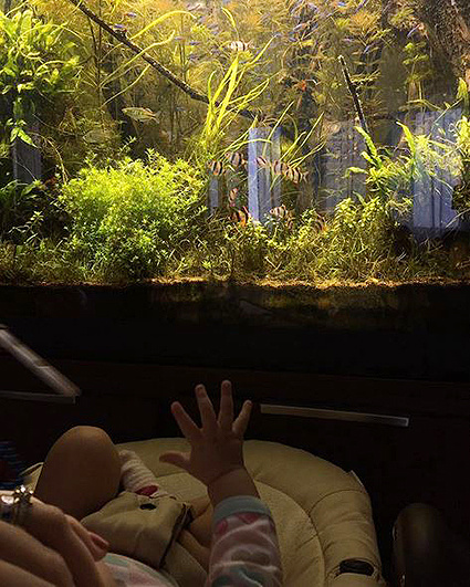 Сергей Безруков с ребенком