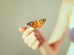 Яке свято відзначають 22 травня