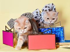 Коллекция сумок Sara Battaglia Весна/Лето 2015