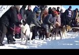 За мной, ребятки, за мной!
