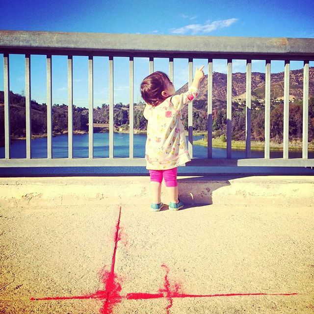 Эштон Катчер