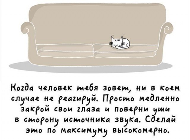 Милый комикс про котов
