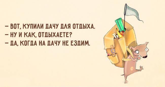 Прикол про дачу и отдых