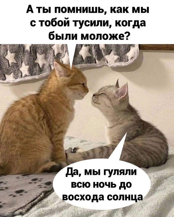 Молодость и желания